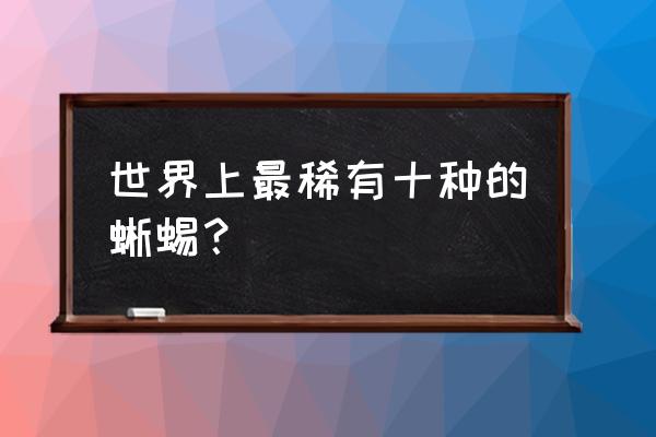 宠物蜥蜴排名 世界上最稀有十种的蜥蜴？