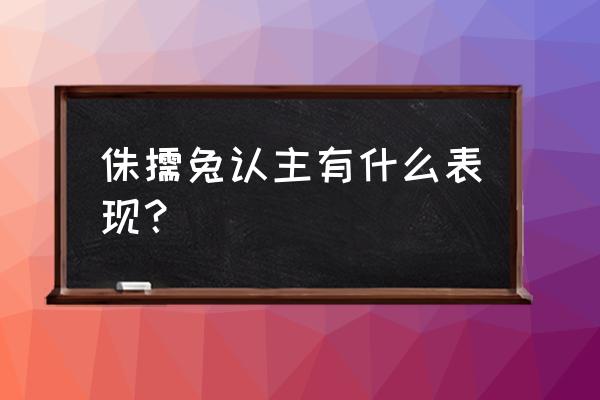 小兔禁止卖萌 侏儒兔认主有什么表现？