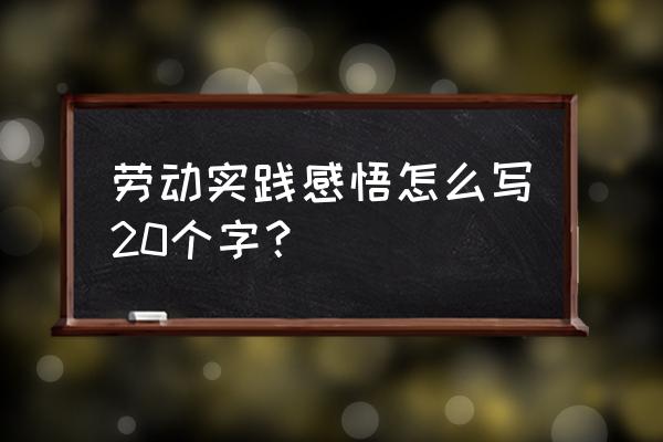 个人实践感悟心得体会 劳动实践感悟怎么写20个字？