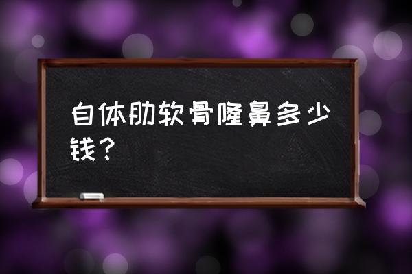 取肋软骨隆鼻多少钱 自体肋软骨隆鼻多少钱？