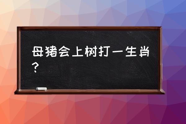 母猪上树打一动物生肖 母猪会上树打一生肖？