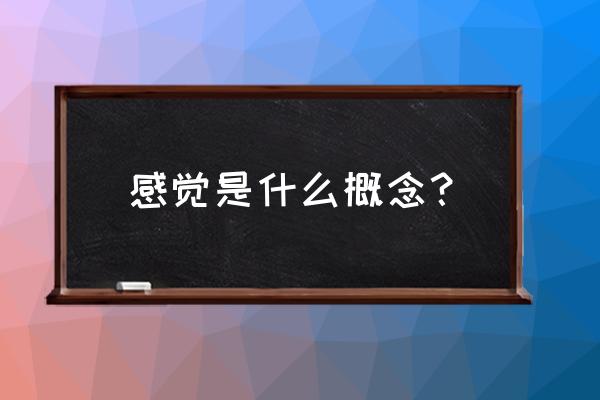 感觉是什么意思解释 感觉是什么概念？