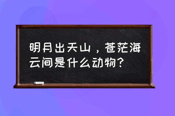 苍茫云海间代表什么动物 明月出天山，苍茫海云间是什么动物？