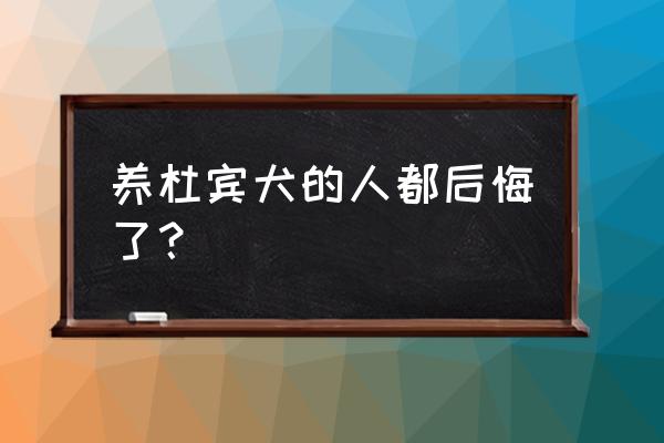 养杜宾犬的人都后悔了 养杜宾犬的人都后悔了？