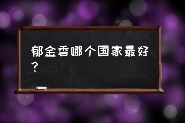 荷兰为什么适合种郁金香 郁金香哪个国家最好？