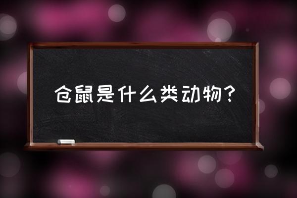 宠物仓鼠简介 仓鼠是什么类动物？