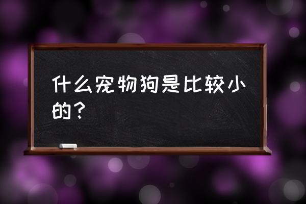 超小型犬有哪些 什么宠物狗是比较小的？