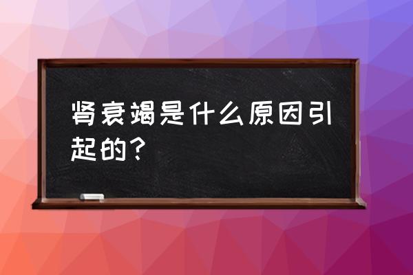 引起肾衰竭的物质有 肾衰竭是什么原因引起的？