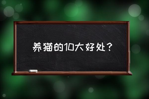 告诉你养猫的十个好处 养猫的10大好处？