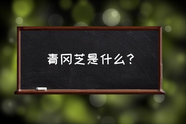 高端的灵芝多糖 青冈芝是什么？