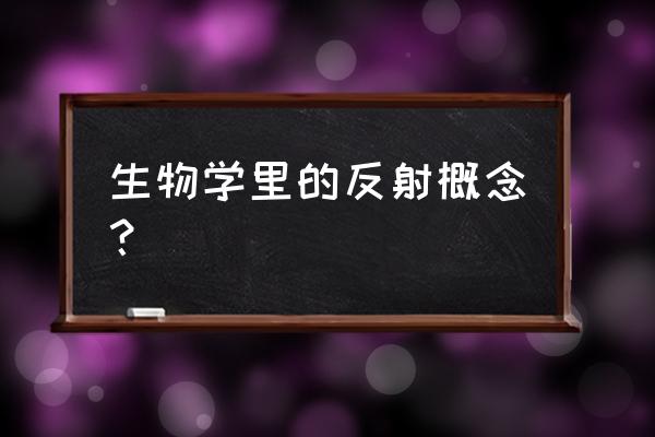 腹壁反射对应的神经 生物学里的反射概念？