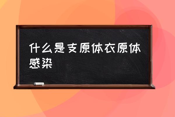 肺部支原体衣原体感染 什么是支原体衣原体感染