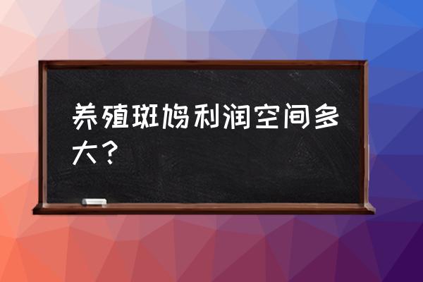 养殖100只斑鸠年利润多少 养殖斑鸠利润空间多大？