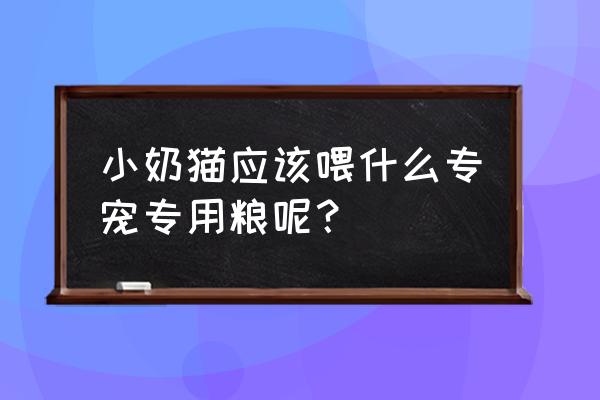 皇家奶糕是天然粮吗 小奶猫应该喂什么专宠专用粮呢？