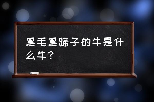 黑毛和牛部位 黑毛黑蹄子的牛是什么牛？