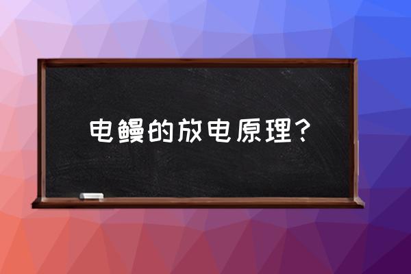 电鳗放电的原理 电鳗的放电原理？