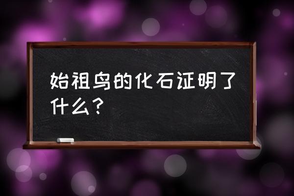 始祖鸟化石证明了什么 始祖鸟的化石证明了什么？