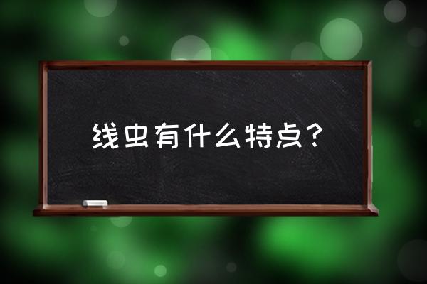 线虫是什么样子 线虫有什么特点？