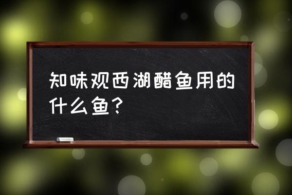 西湖醋鱼别称 知味观西湖醋鱼用的什么鱼？