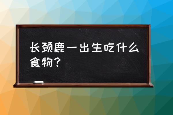 刚出生的长颈鹿 长颈鹿一出生吃什么食物？