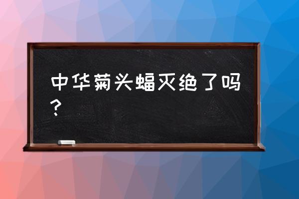 中华菊头蝠灭绝了吗 中华菊头蝠灭绝了吗？