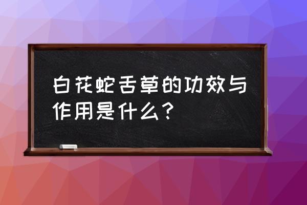 白花蛇舌草的神奇功效 白花蛇舌草的功效与作用是什么？