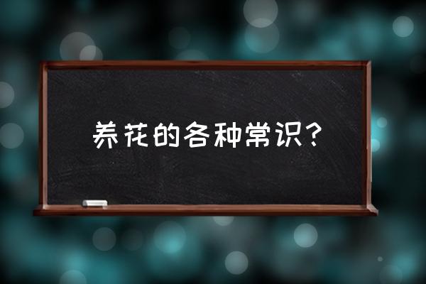 养花的基本知识 养花的各种常识？