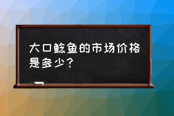 大口鲶鱼多少钱一斤 大口鲶鱼的市场价格是多少？