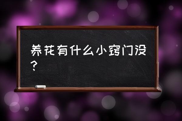 养花知识大全与技巧 养花有什么小窍门没？