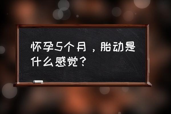 怀孕5个月胎动是什么感觉 怀孕5个月，胎动是什么感觉？