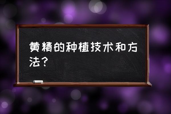 黄精的种植方法与技术 黄精的种植技术和方法？