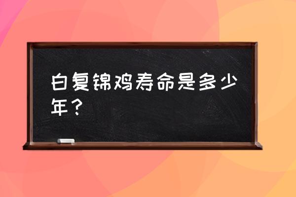 野生白腹锦鸡叫声 白复锦鸡寿命是多少年？