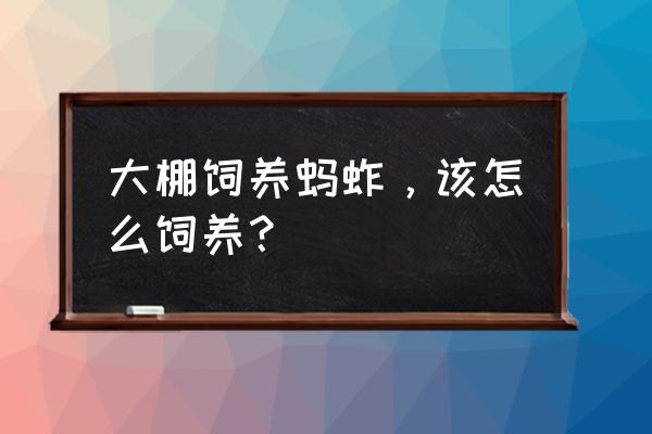 大棚蚂蚱养殖技术 大棚饲养蚂蚱，该怎么饲养？