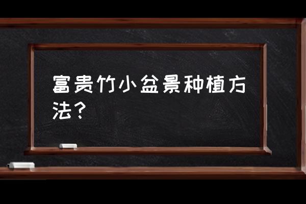 富贵竹盆栽养殖方法 富贵竹小盆景种植方法？