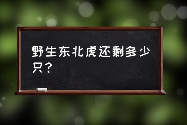 野生东北虎还有多少只 野生东北虎还剩多少只？