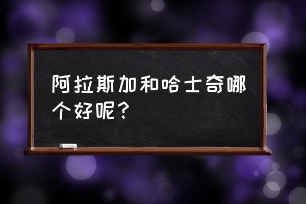 哈士奇和阿拉斯加哪个好 阿拉斯加和哈士奇哪个好呢？