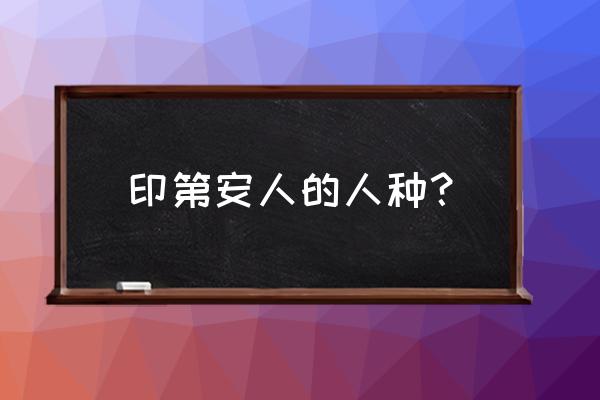 印第安人属于什么人种 印第安人的人种？