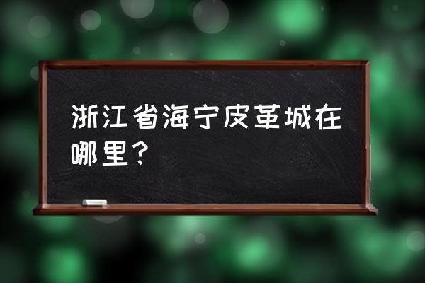 海宁皮革城在哪个城市 浙江省海宁皮革城在哪里？