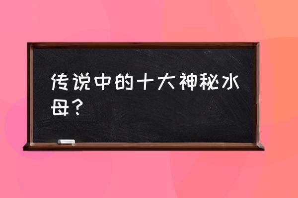 普通水母vs僧帽水母 传说中的十大神秘水母？