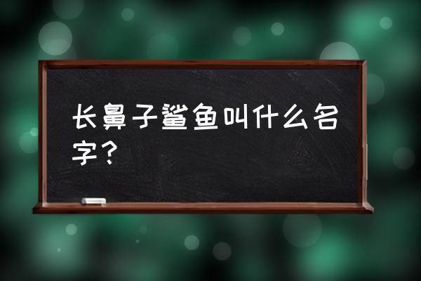 哥布林鲨长什么样子 长鼻子鲨鱼叫什么名字？