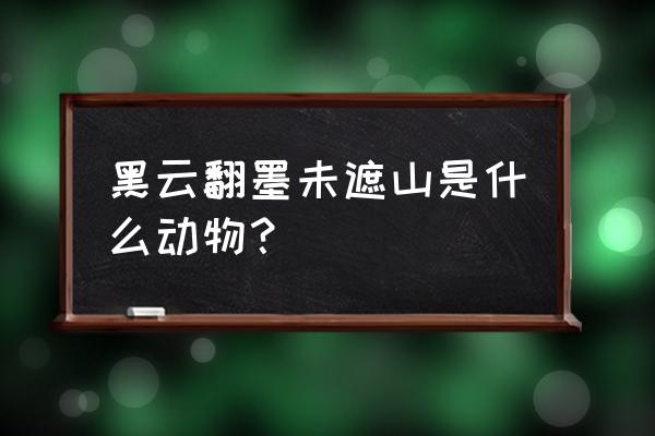 黑云翻墨未遮山打一动物 黑云翻墨未遮山是什么动物？