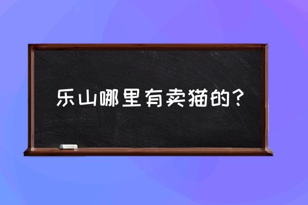 乐山哪里卖马恩岛猫 乐山哪里有卖猫的？