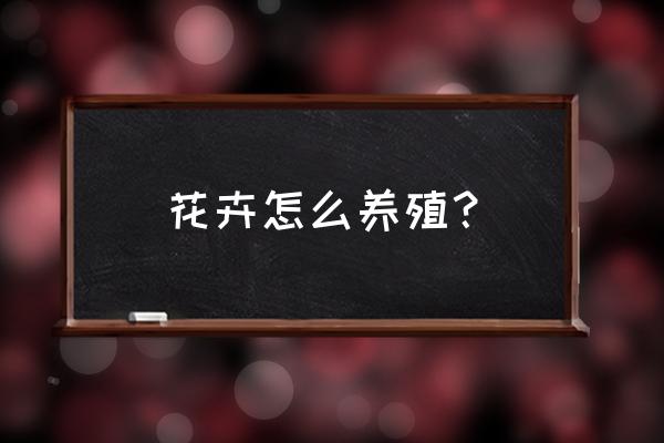 花卉养殖技术 花卉怎么养殖？