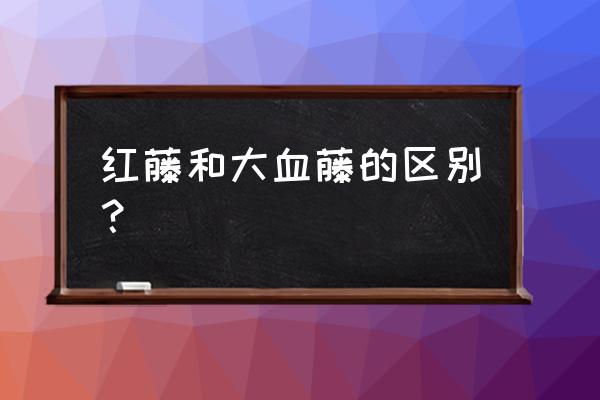 大血藤是红藤吗 红藤和大血藤的区别？