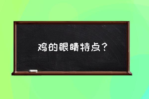 鸡的眼睛的视觉特点 鸡的眼睛特点？