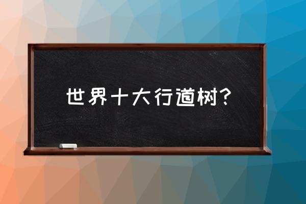 常用行道树有哪些 世界十大行道树？