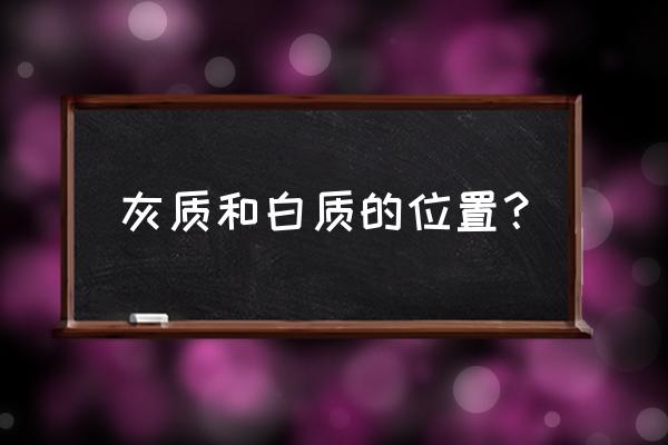 灰质和白质的位置 灰质和白质的位置？