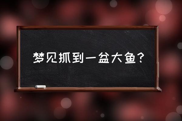 孕妇梦见自己用手抓鱼 梦见抓到一盆大鱼？