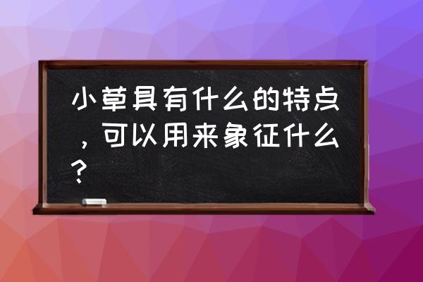 小草的作用和特点 小草具有什么的特点，可以用来象征什么？