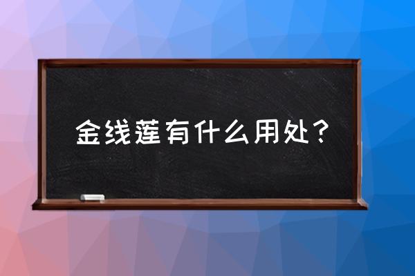 金线莲的功效与作用 金线莲有什么用处？